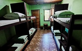 In-N-Out Guest House